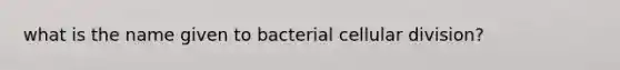 what is the name given to bacterial cellular division?