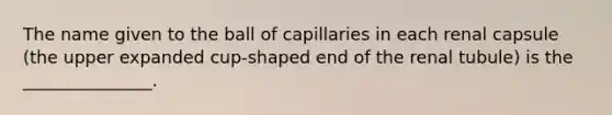 The name given to the ball of capillaries in each renal capsule (the upper expanded cup-shaped end of the renal tubule) is the _______________.