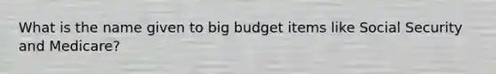 What is the name given to big budget items like Social Security and Medicare?