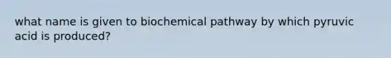 what name is given to biochemical pathway by which pyruvic acid is produced?