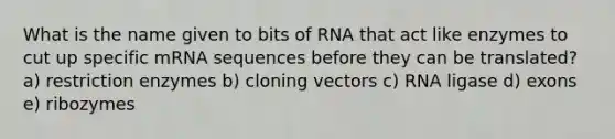 What is the name given to bits of RNA that act like enzymes to cut up specific mRNA sequences before they can be translated? a) restriction enzymes b) cloning vectors c) RNA ligase d) exons e) ribozymes