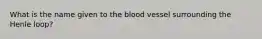 What is the name given to the blood vessel surrounding the Henle loop?