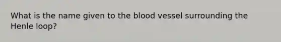 What is the name given to the blood vessel surrounding the Henle loop?