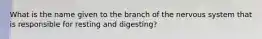 What is the name given to the branch of the nervous system that is responsible for resting and digesting?