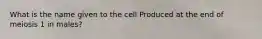 What is the name given to the cell Produced at the end of meiosis 1 in males?