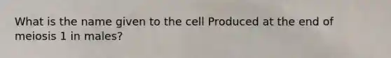 What is the name given to the cell Produced at the end of meiosis 1 in males?