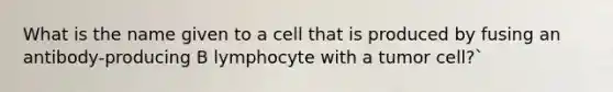 What is the name given to a cell that is produced by fusing an antibody-producing B lymphocyte with a tumor cell?`