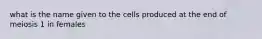 what is the name given to the cells produced at the end of meiosis 1 in females