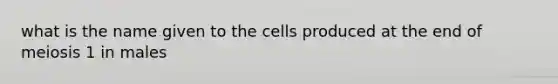 what is the name given to the cells produced at the end of meiosis 1 in males