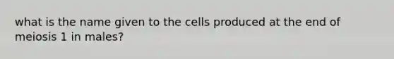 what is the name given to the cells produced at the end of meiosis 1 in males?