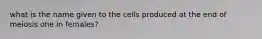 what is the name given to the cells produced at the end of meiosis one in females?