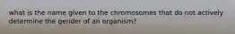 what is the name given to the chromosomes that do not actively determine the gender of an organism?