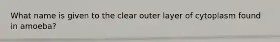 What name is given to the clear outer layer of cytoplasm found in amoeba?