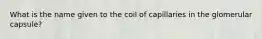 What is the name given to the coil of capillaries in the glomerular capsule?