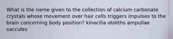 What is the name given to the collection of calcium carbonate crystals whose movement over hair cells triggers impulses to the brain concerning body position? kinocilia otoliths ampullae saccules