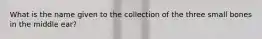 What is the name given to the collection of the three small bones in the middle ear?