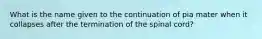 What is the name given to the continuation of pia mater when it collapses after the termination of the spinal cord?