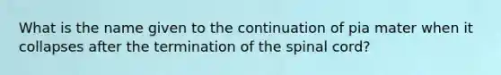 What is the name given to the continuation of pia mater when it collapses after the termination of the spinal cord?