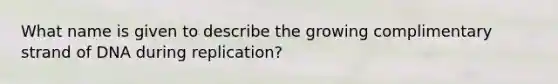 What name is given to describe the growing complimentary strand of DNA during replication?