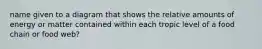 name given to a diagram that shows the relative amounts of energy or matter contained within each tropic level of a food chain or food web?
