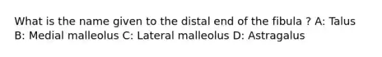 What is the name given to the distal end of the fibula ? A: Talus B: Medial malleolus C: Lateral malleolus D: Astragalus