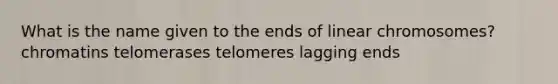 What is the name given to the ends of linear chromosomes? chromatins telomerases telomeres lagging ends