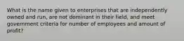 What is the name given to enterprises that are independently owned and run, are not dominant in their field, and meet government criteria for number of employees and amount of profit?