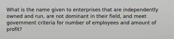 What is the name given to enterprises that are independently owned and run, are not dominant in their field, and meet government criteria for number of employees and amount of profit?