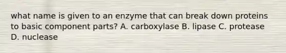 what name is given to an enzyme that can break down proteins to basic component parts? A. carboxylase B. lipase C. protease D. nuclease