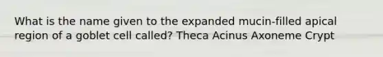 What is the name given to the expanded mucin-filled apical region of a goblet cell called? Theca Acinus Axoneme Crypt