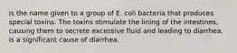 is the name given to a group of E. coli bacteria that produces special toxins. The toxins stimulate the lining of the intestines, causing them to secrete excessive fluid and leading to diarrhea. is a significant cause of diarrhea.