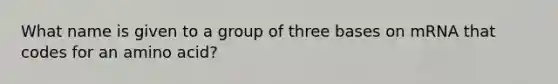 What name is given to a group of three bases on mRNA that codes for an amino acid?