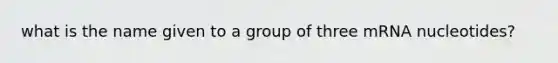 what is the name given to a group of three mRNA nucleotides?