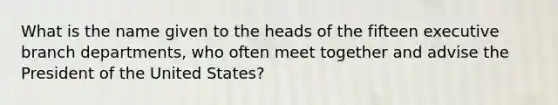 What is the name given to the heads of the fifteen executive branch departments, who often meet together and advise the President of the United States?