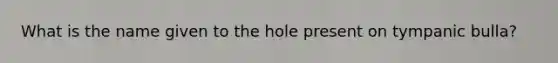 What is the name given to the hole present on tympanic bulla?