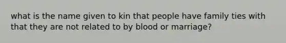 what is the name given to kin that people have family ties with that they are not related to by blood or marriage?