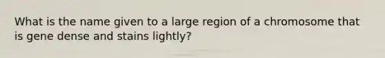 What is the name given to a large region of a chromosome that is gene dense and stains lightly?