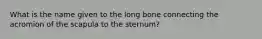 What is the name given to the long bone connecting the acromion of the scapula to the sternum?