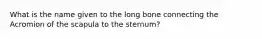 What is the name given to the long bone connecting the Acromion of the scapula to the sternum?