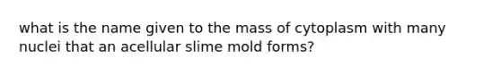 what is the name given to the mass of cytoplasm with many nuclei that an acellular slime mold forms?