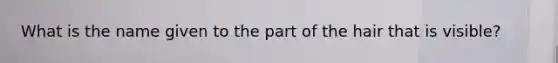 What is the name given to the part of the hair that is visible?
