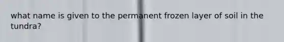 what name is given to the permanent frozen layer of soil in the tundra?