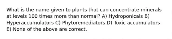 What is the name given to plants that can concentrate minerals at levels 100 times more than normal? A) Hydroponicals B) Hyperaccumulators C) Phytoremediators D) Toxic accumulators E) None of the above are correct.