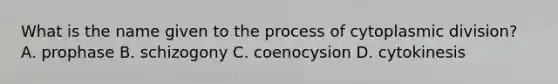 What is the name given to the process of cytoplasmic division? A. prophase B. schizogony C. coenocysion D. cytokinesis