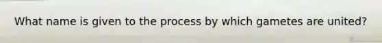 What name is given to the process by which gametes are united?