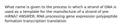 What name is given to the process in which a strand of DNA is used as a template for the manufacture of a strand of pre-mRNA? ANSWER: RNA processing gene expression polypeptide formation transcription translation