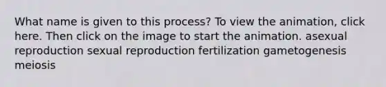 What name is given to this process? To view the animation, click here. Then click on the image to start the animation. asexual reproduction sexual reproduction fertilization gametogenesis meiosis