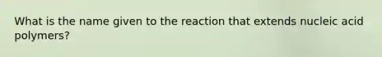 What is the name given to the reaction that extends nucleic acid polymers?