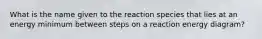 What is the name given to the reaction species that lies at an energy minimum between steps on a reaction energy diagram?