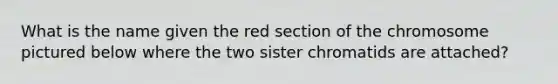 What is the name given the red section of the chromosome pictured below where the two sister chromatids are attached?